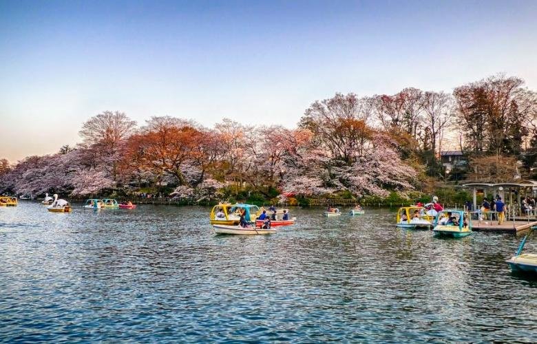 🎆 이타바시 불꽃축제 이미지 8